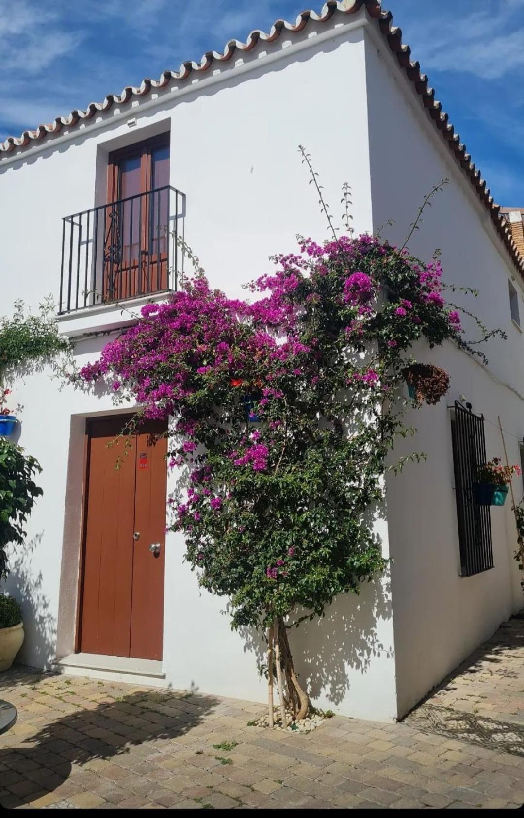 Apto Centro Historico Medieval Estepona Bagian luar foto